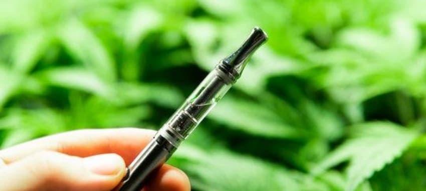 IBvape IBvape Uncovered How Clove Vape Flavors and Safety Trends Are Shaping the Market